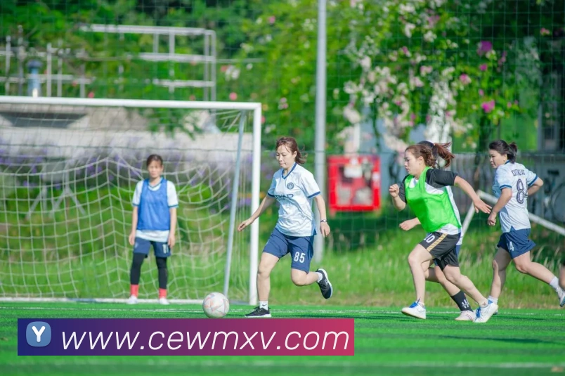 聚焦2026世界杯:球场背后的故事与承办比赛赛程